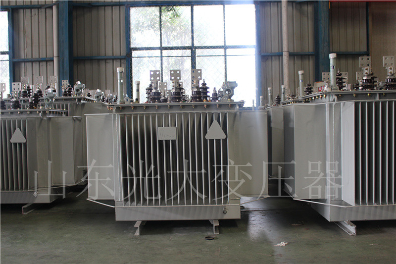 彭山S20-500KVA/10KV
